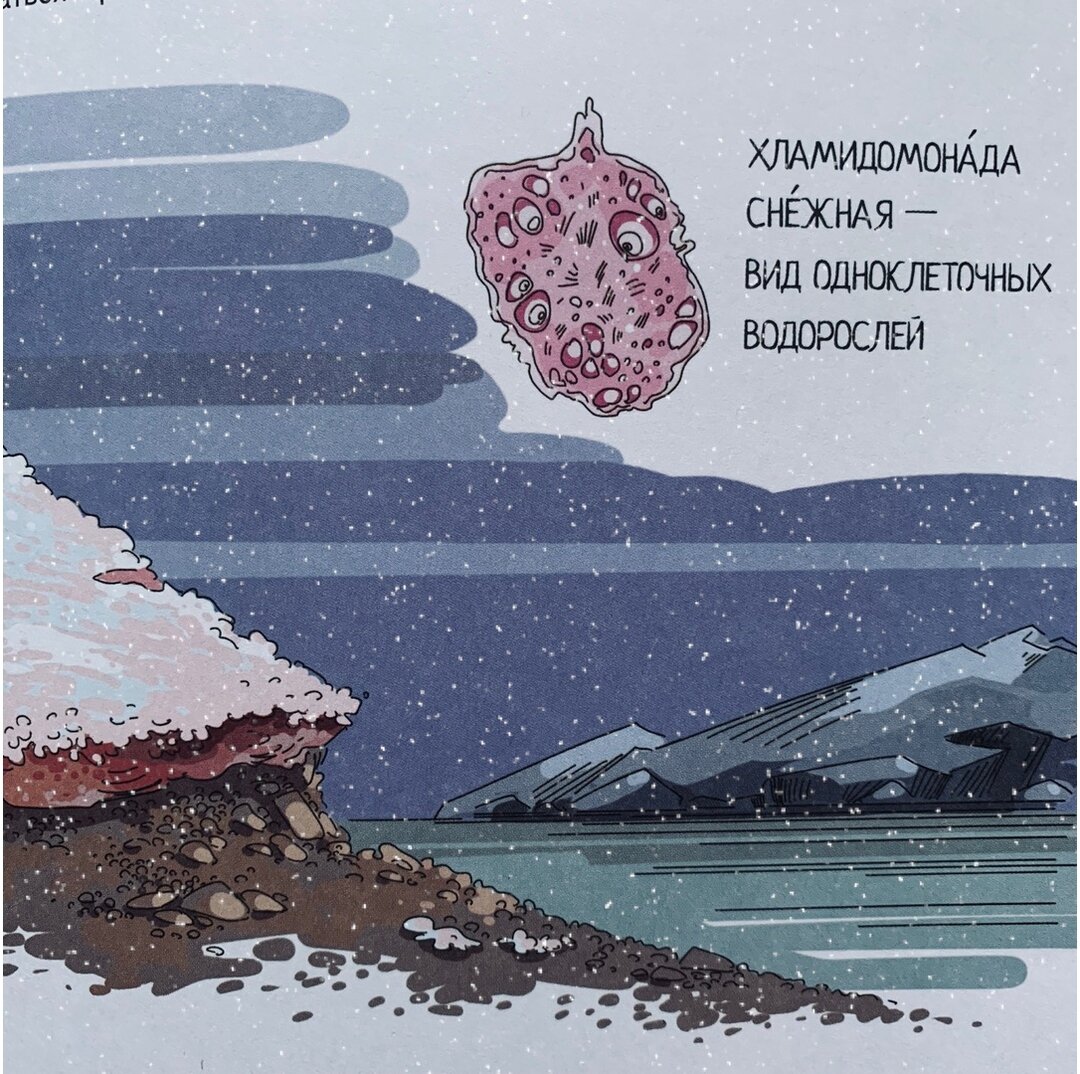 Фото: kachellybook (Instagram)