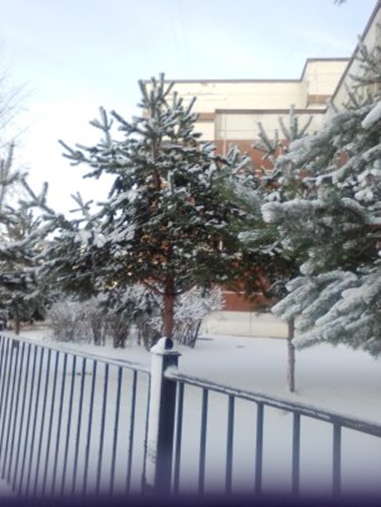 Зима в городе