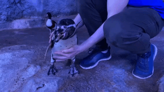 Да, вот так всё просто.