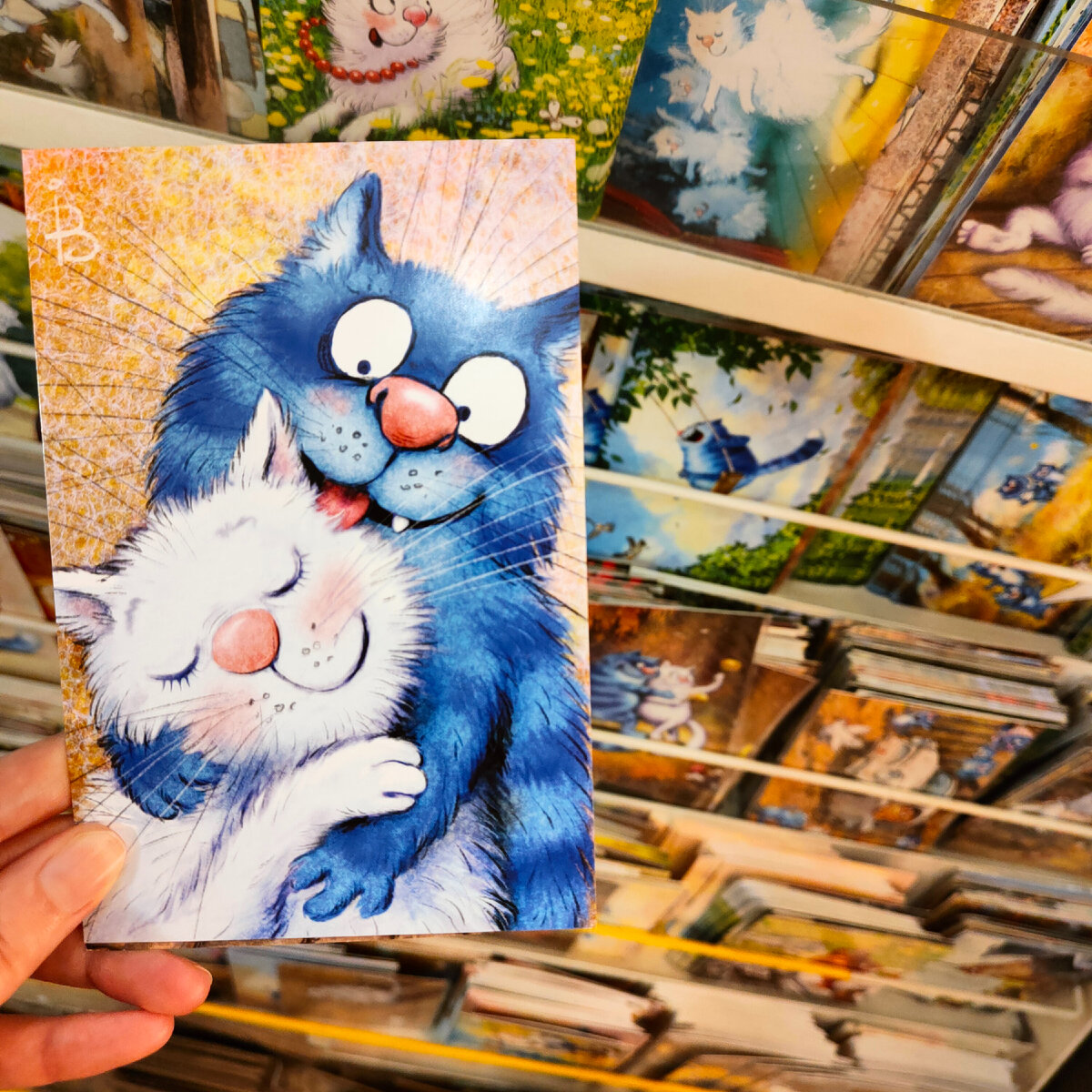 Необычные открытки с котиками. Фото сделано автором. 