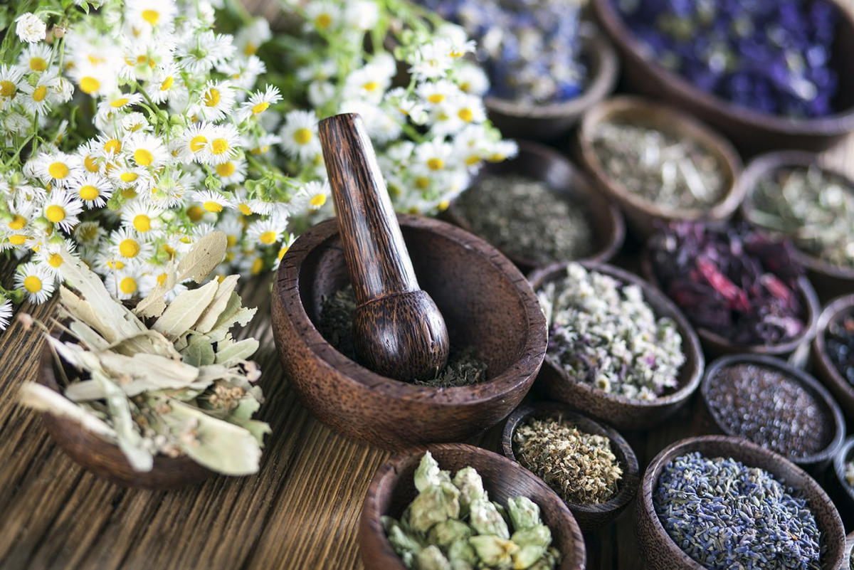 Herbal medicine. Китайские целебные травы. Традиционная китайская медицина. Фитотерапия в Китае. Лекарственные растения Китая.