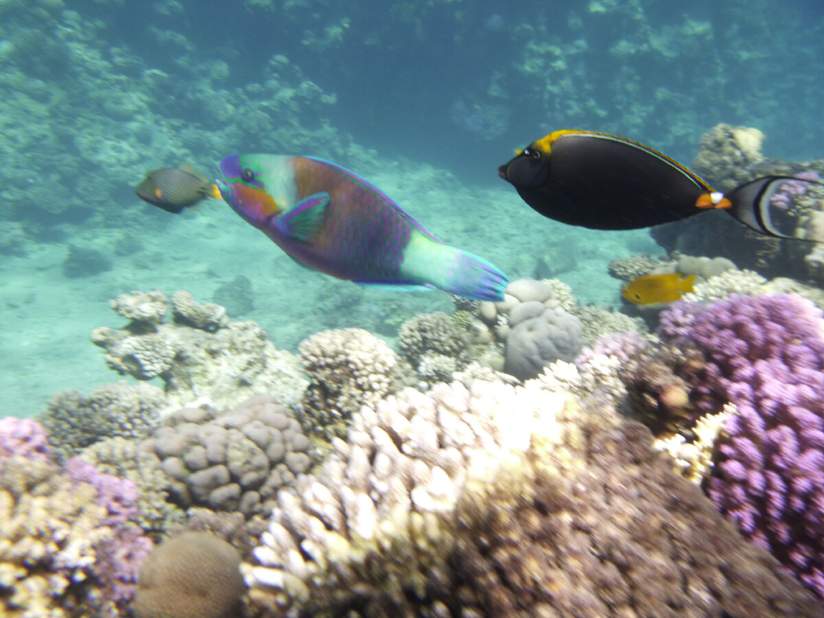 Все фотографии сделаны лично мной