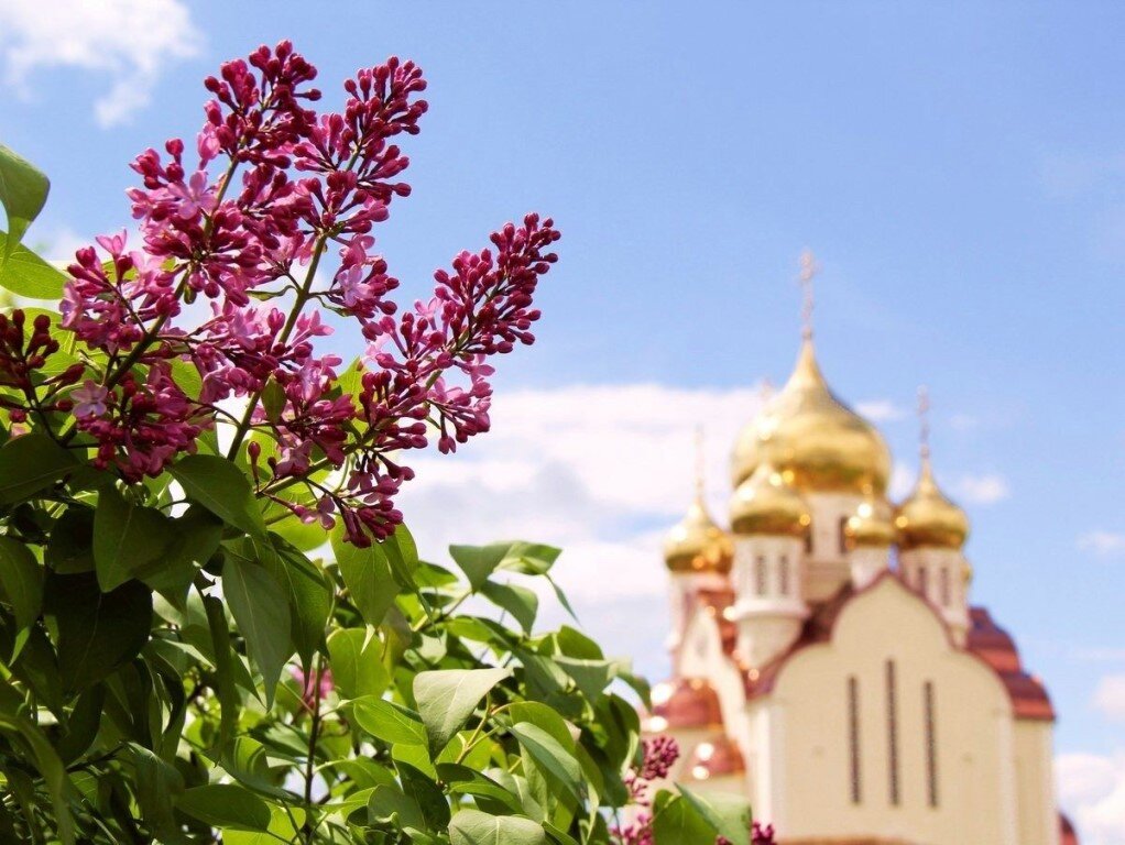 Источник фото: Яндекс Картинки