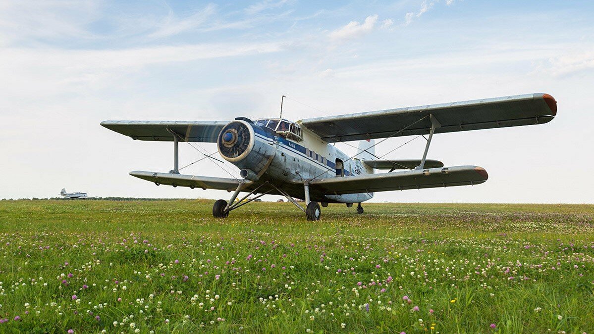 Ан-2. Источник: Яндекс-картинки 