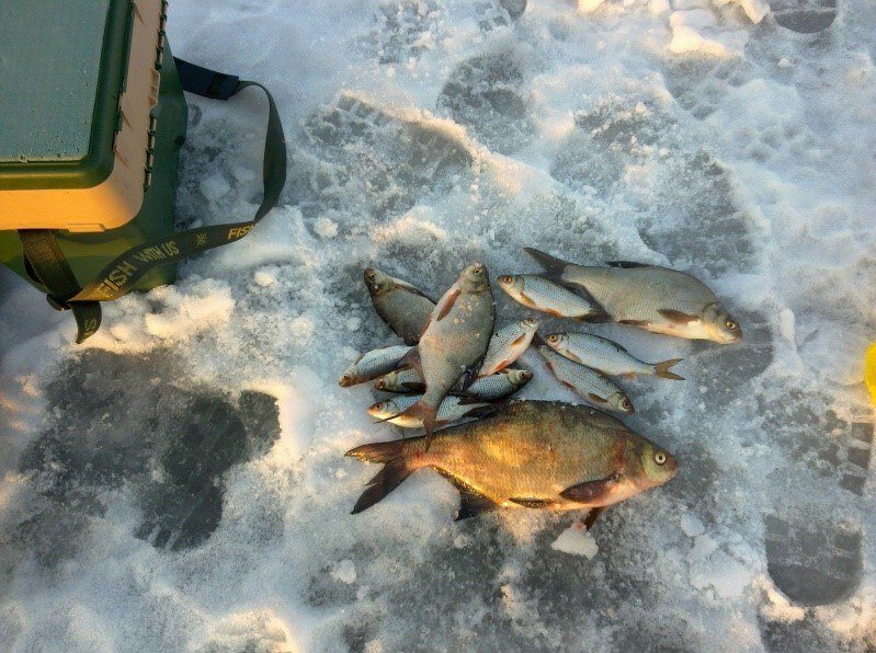 Рыбалка на озере неро. Рыбалка сетями зимой. Озеро Неро рыба. Зимняя рыбалка на Оке. Зимние сети для рыбалки зимой.