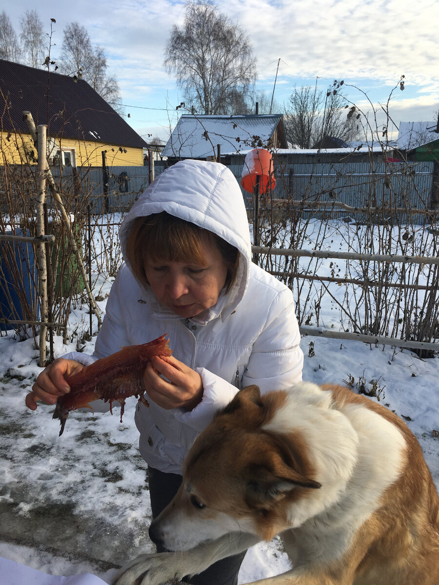Соседка пришла, проверяем, как я язей насолила