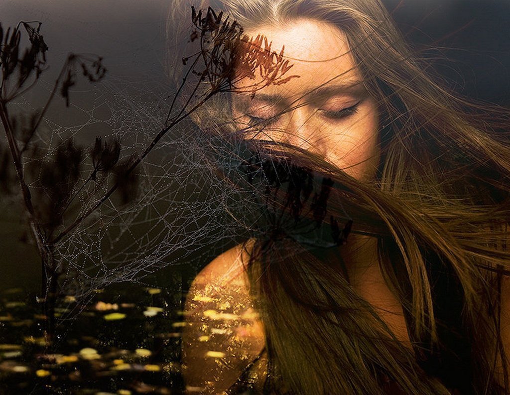 Изображение взято из открытых источников