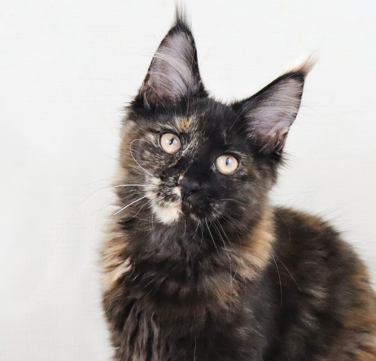 Фото из личного архива.