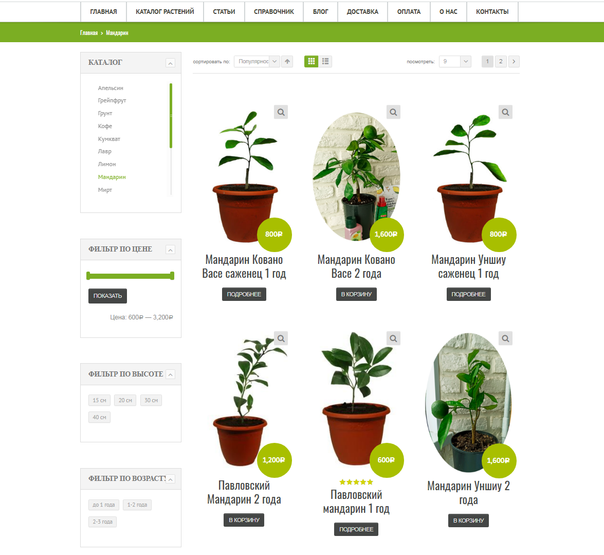 Выбор комнатных мандаринов на сайте Павловского питомника