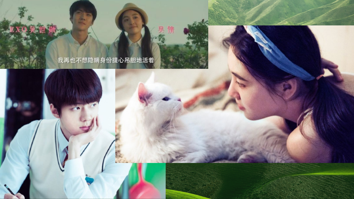 Коллаж кадров из фильма «Котопарень»