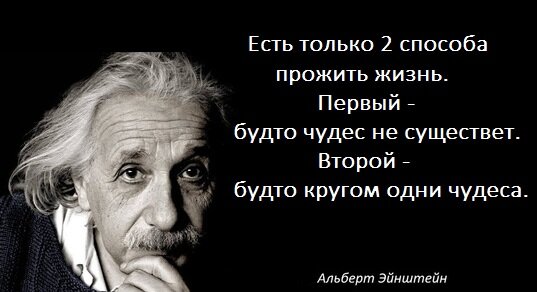 Яндекс Картинки