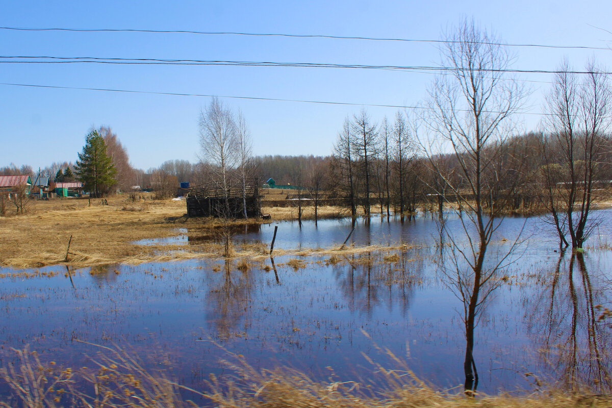 Берег реки волги 56
