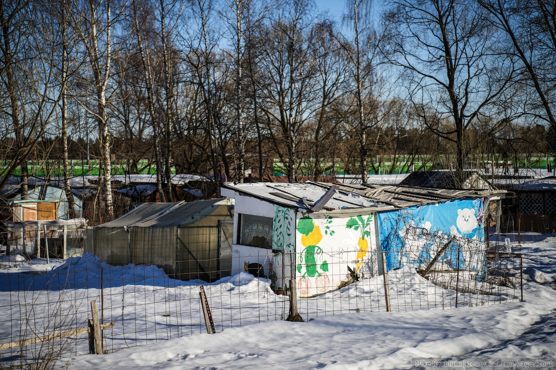 Инстинкт выживания: огороды для жителей городских кварталов1