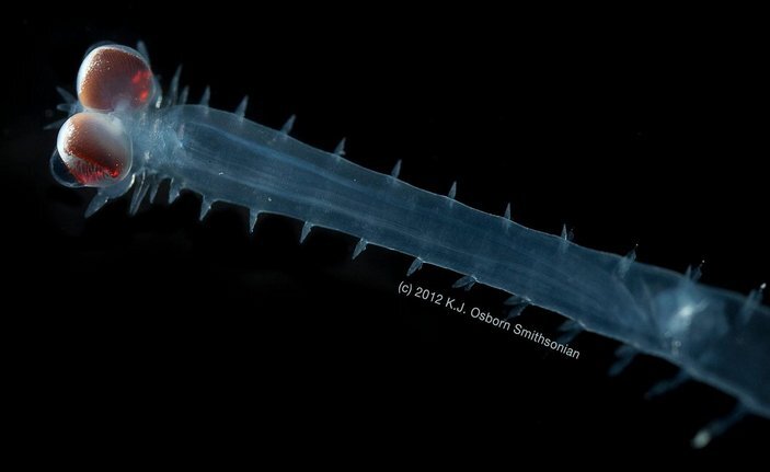 Смотри мне в глаза!