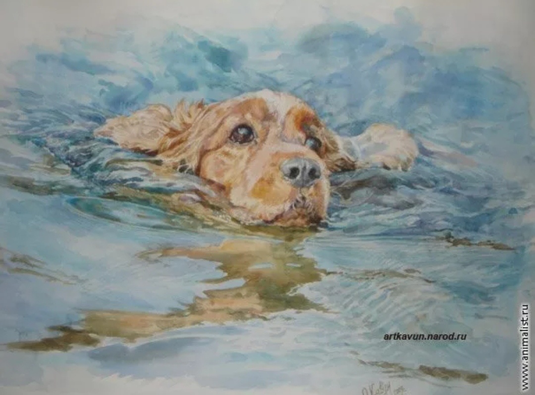 Картинка взята из свободной сети Интернет.