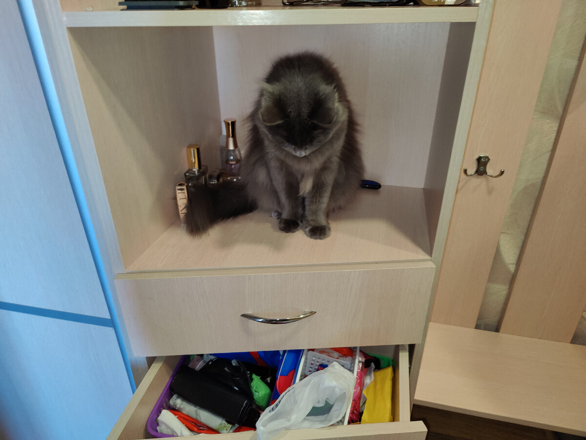 Добытчик пакетов