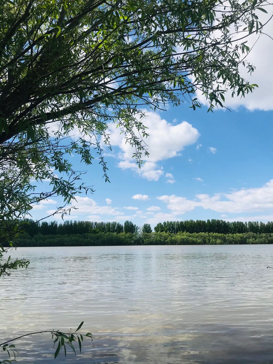 Автор Воробьев Роман, МКОУ "СОШ п.Трусово", Черная река