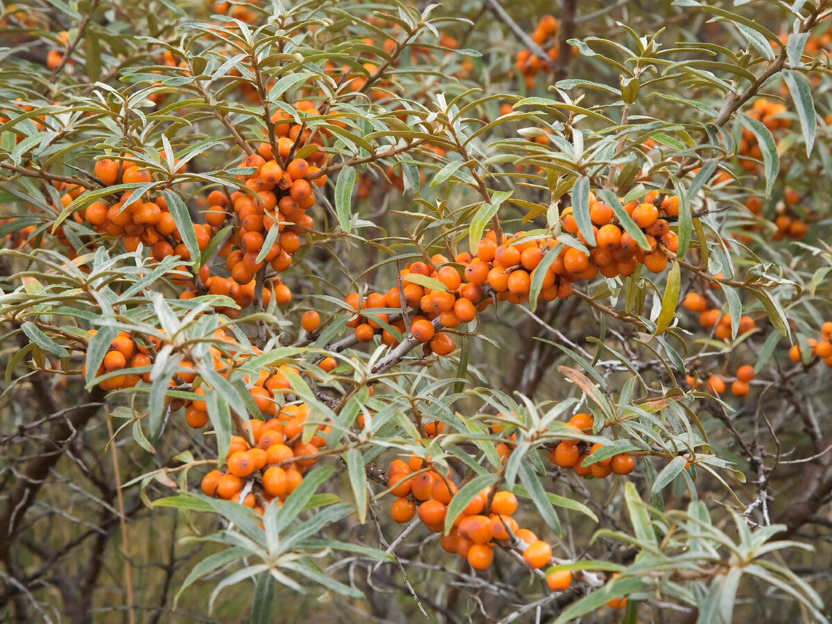 Фото: globallookpress.com