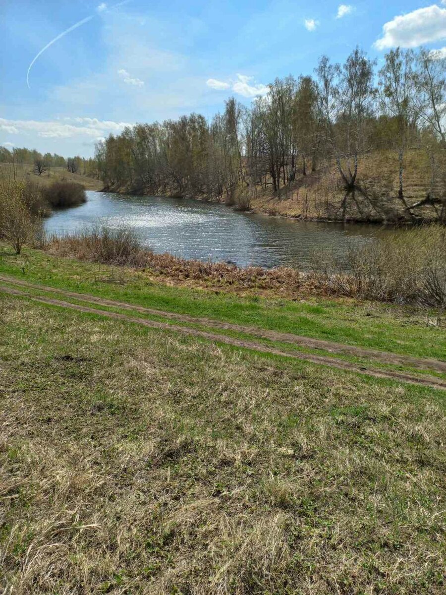 Фото автора.