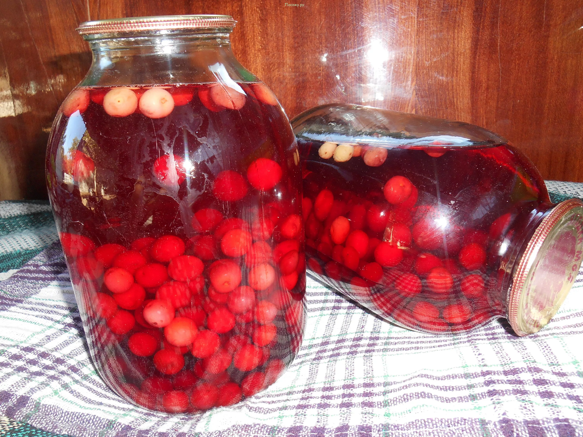 Фото из интернета