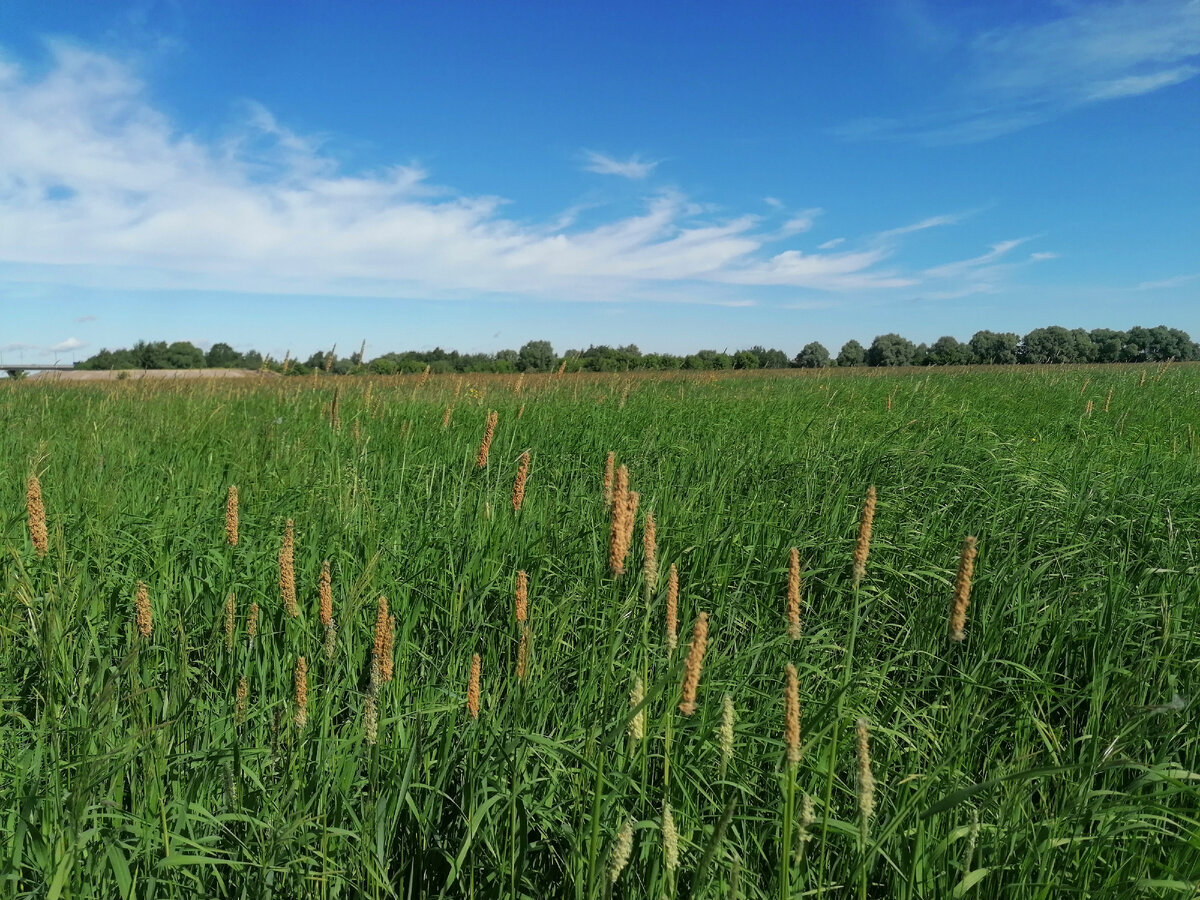 Бескрайние просторы