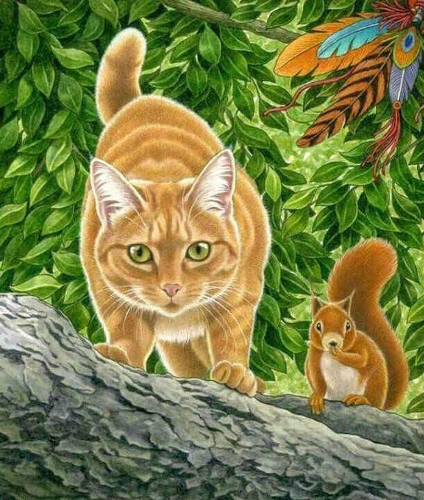 Белка и кот картинки