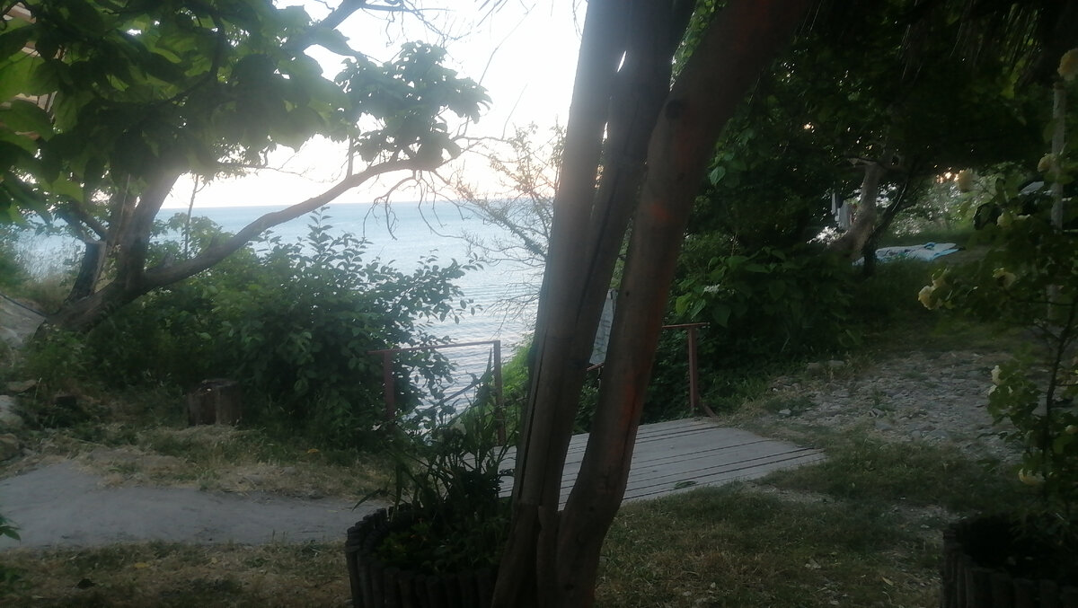 Вид на море из беседки