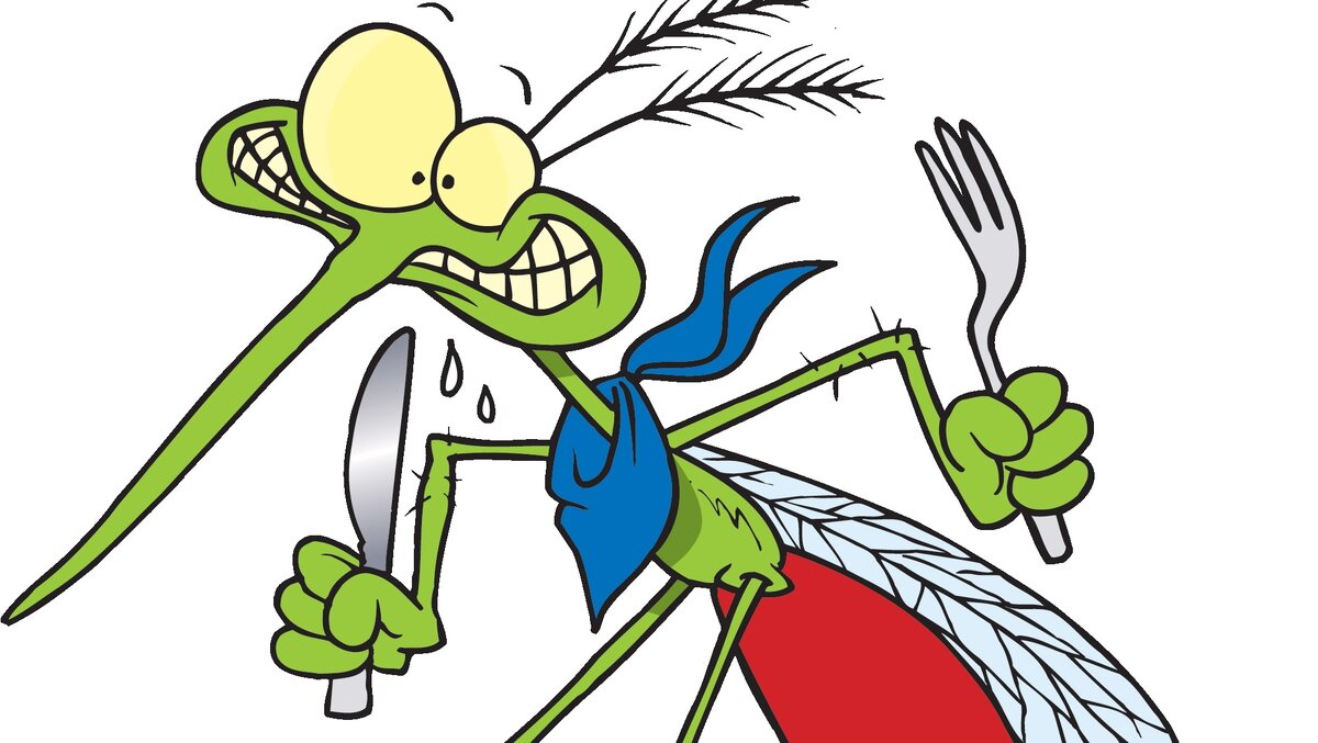 Малярийная муха. Веселый комар. Злой комар. Комар рисунок смешной. Комары мультяшные.