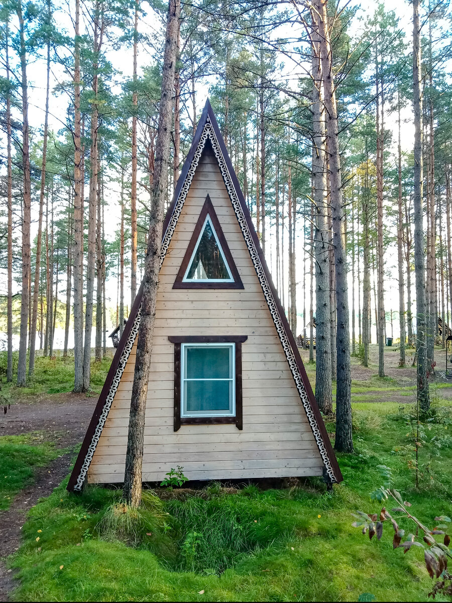 Хочу в лес, но не хочу жить в палатке. | Илья Вальнер | Дзен