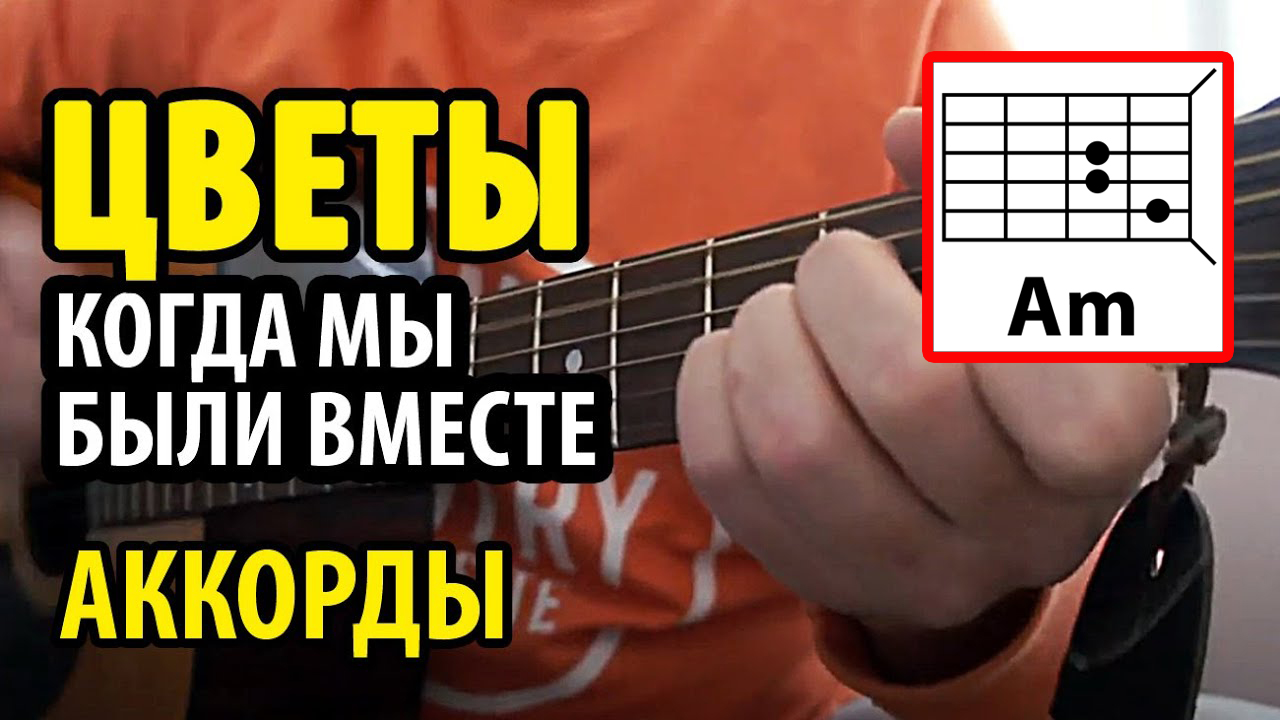 ЦВЕТЫ (КОГДА МЫ БЫЛИ ВМЕСТЕ) - АРМЕЙСКАЯ и ДВОРОВАЯ ПЕСНЯ (АККОРДЫ, БОЙ,  ТЕКСТ - В ОПИСАНИИ К ВИДЕО)