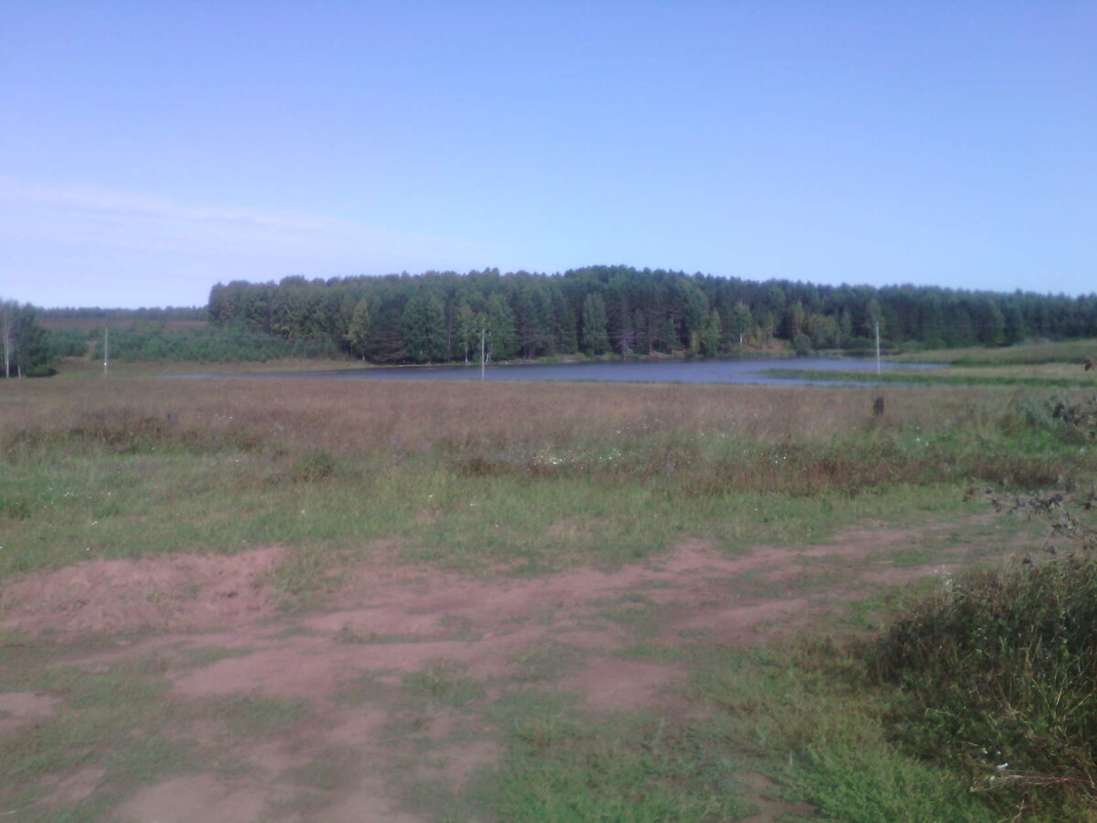 Тот самый пруд