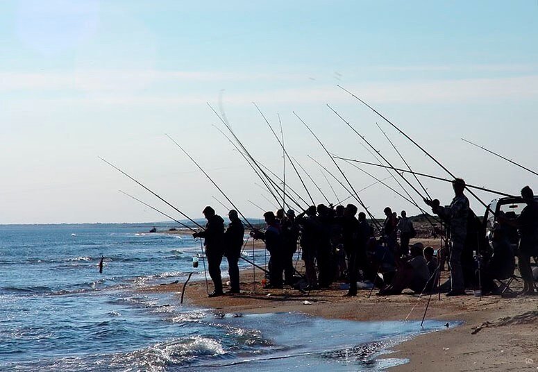 Каспийское море | РЫБОЛОВНЫЕ ТУРЫ, ПЛАТНАЯ РЫБАЛКА, БАЗЫ ОТДЫХА ДЛЯ РЫБАКОВ