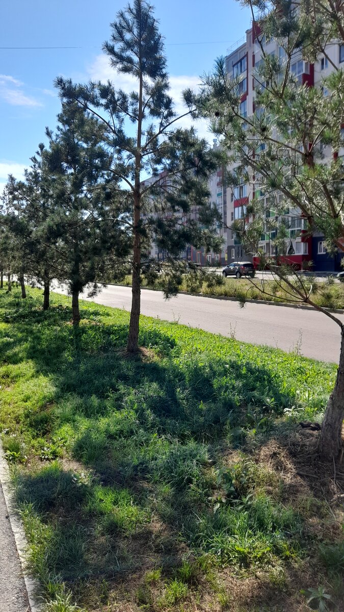 "Доброе утро, мир! Ты прекрасен!" Фото автора