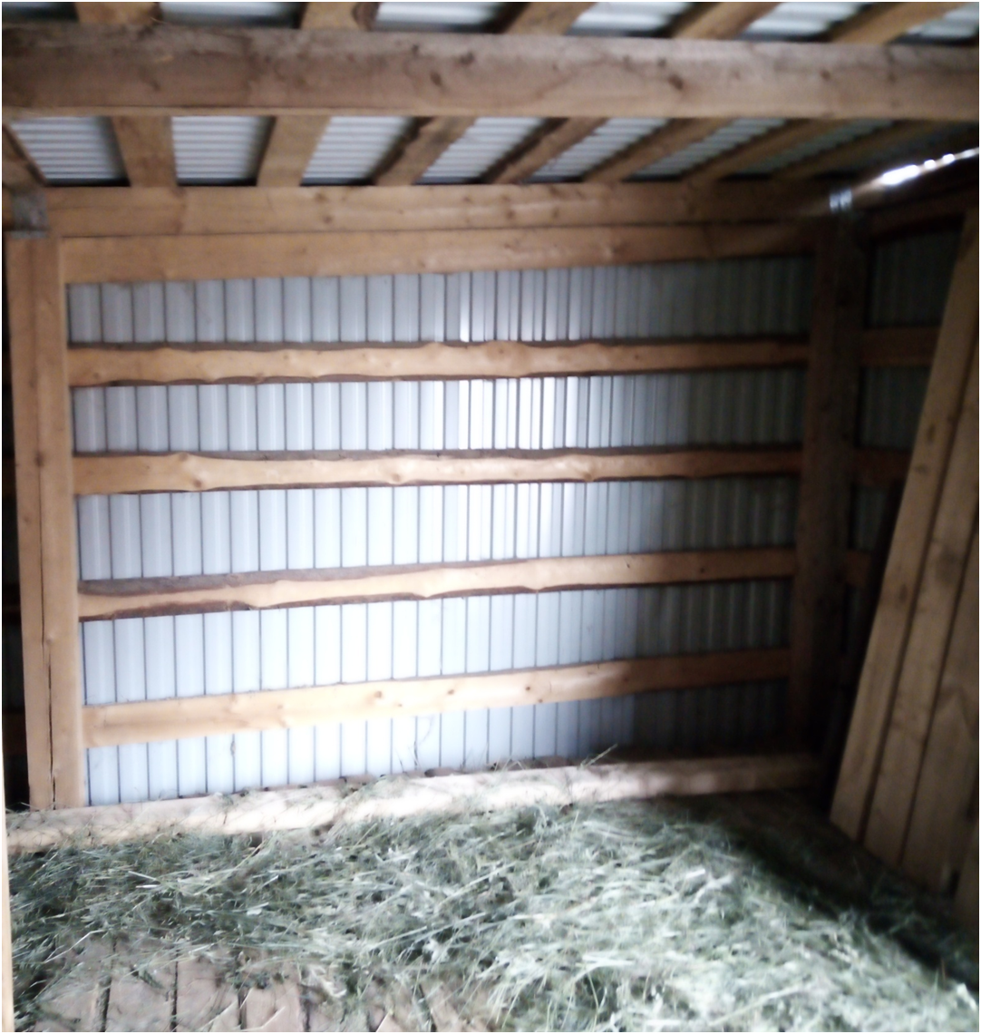 Выбранное место для сооружения проёма (вид изнутри).