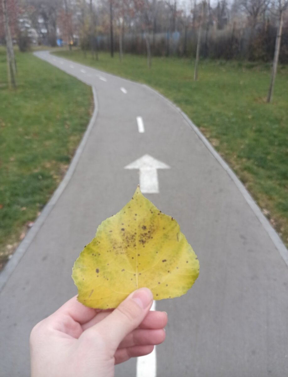 Фото автора. Мы сами выбираем свою дорогу, как бы банально это ни звучало.