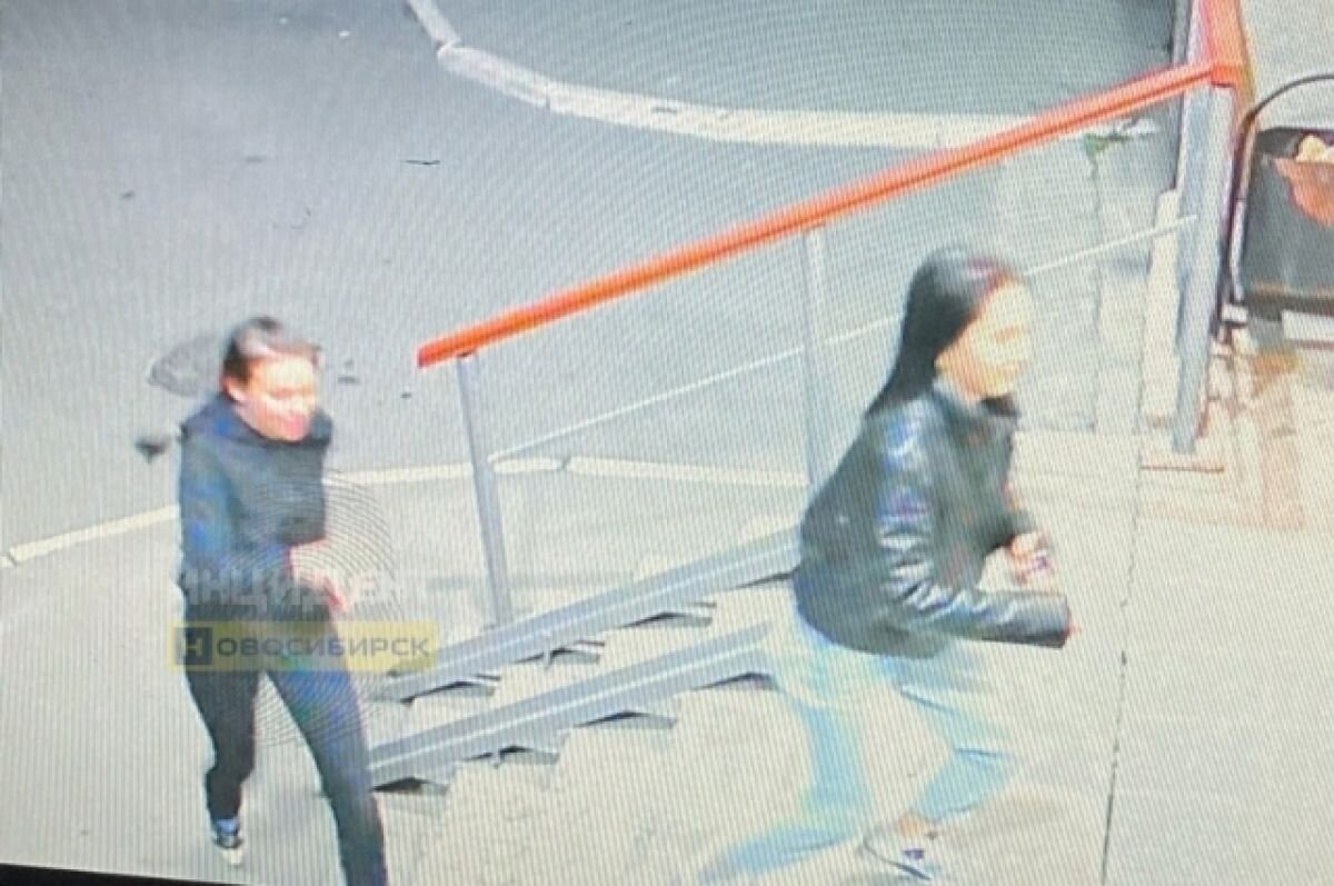    В Новосибирске девушки повредили автомобиль, пытаясь сделать фотографии