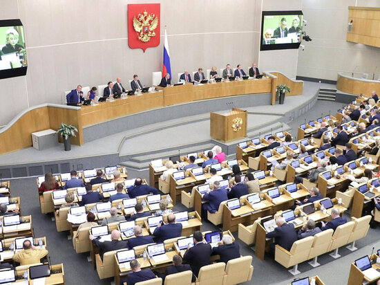     Фото: duma.gov.ru