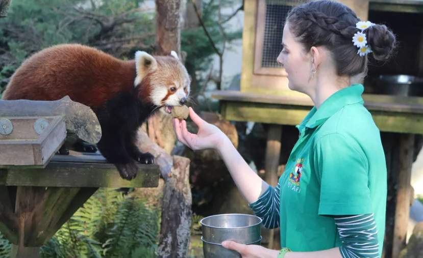 Фотография взята из источника wi-fi.ru