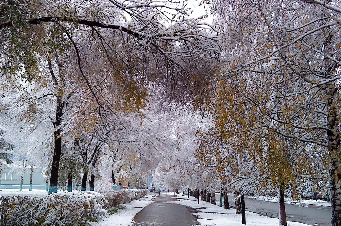 фото из открытых источников.