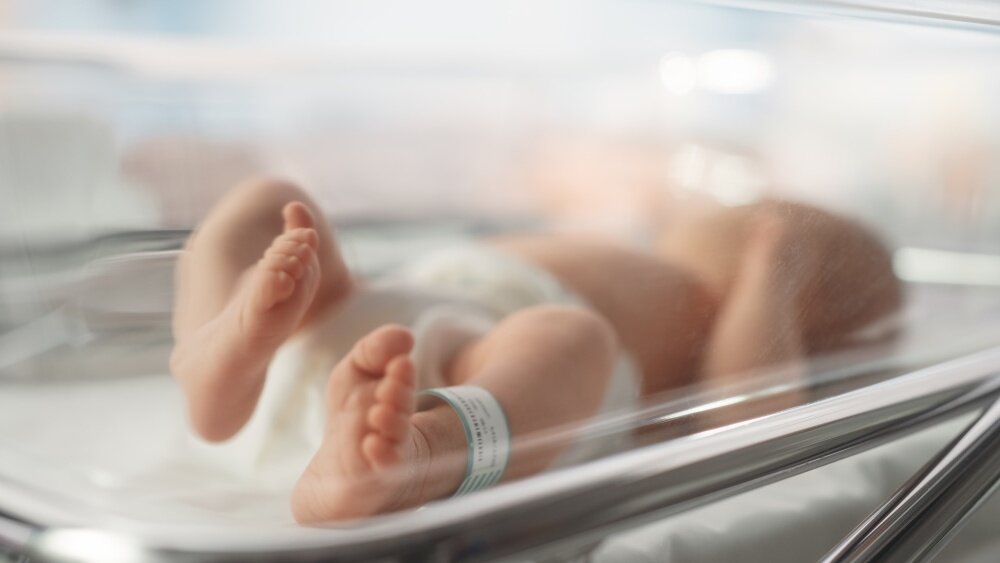    Фото: Shutterstock