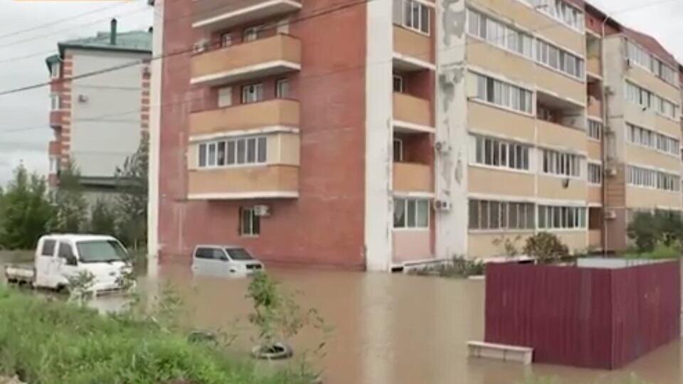 Фото: © Скриншот видео