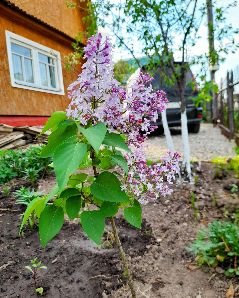 "Доброе утро, мир! Ты прекрасен!" Фото автора