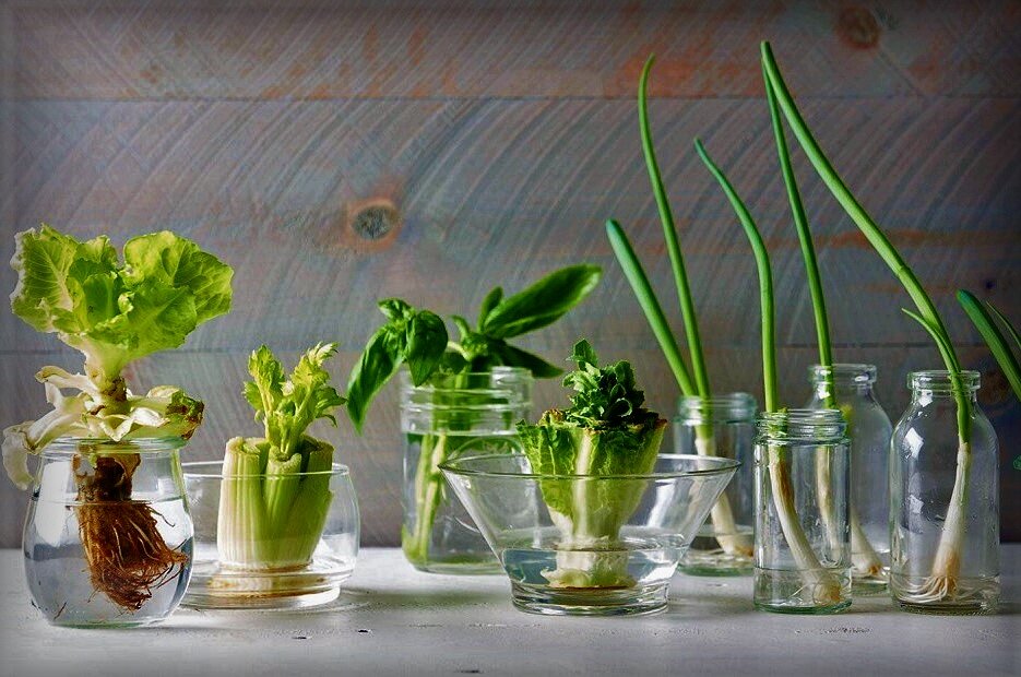 Фото — autour1jardin.canalblog.com