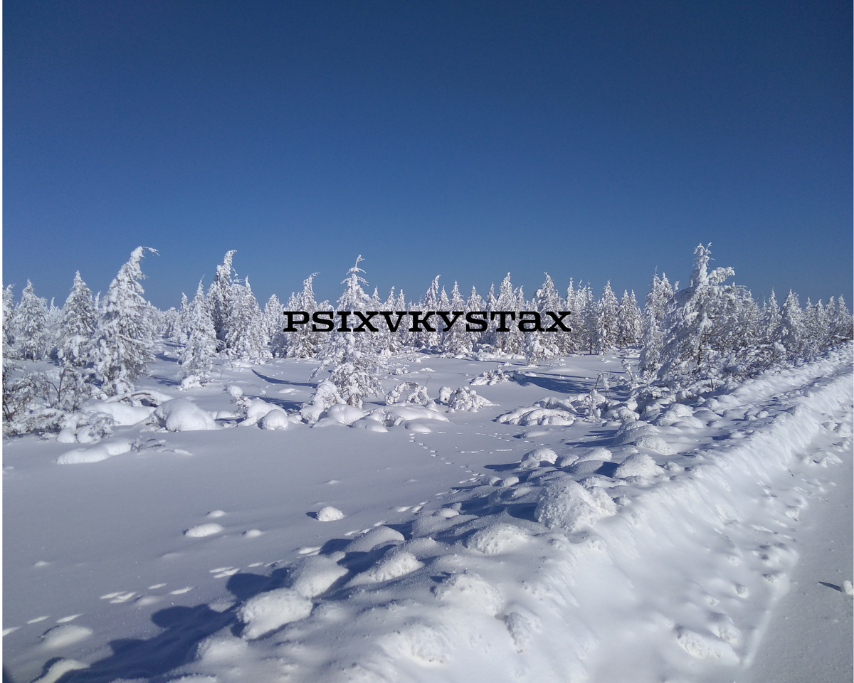 Морозная Якутия. Фото из личного архива