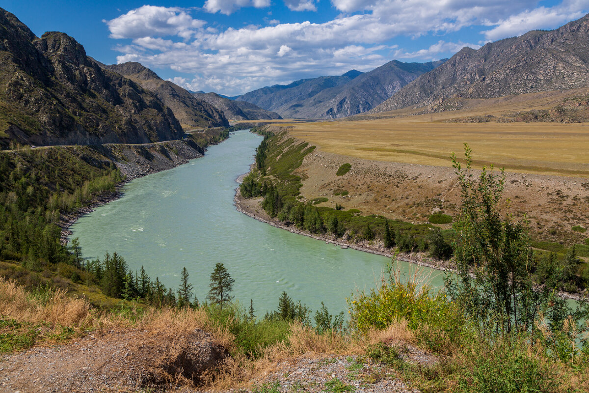 Виды на р. Катунь 