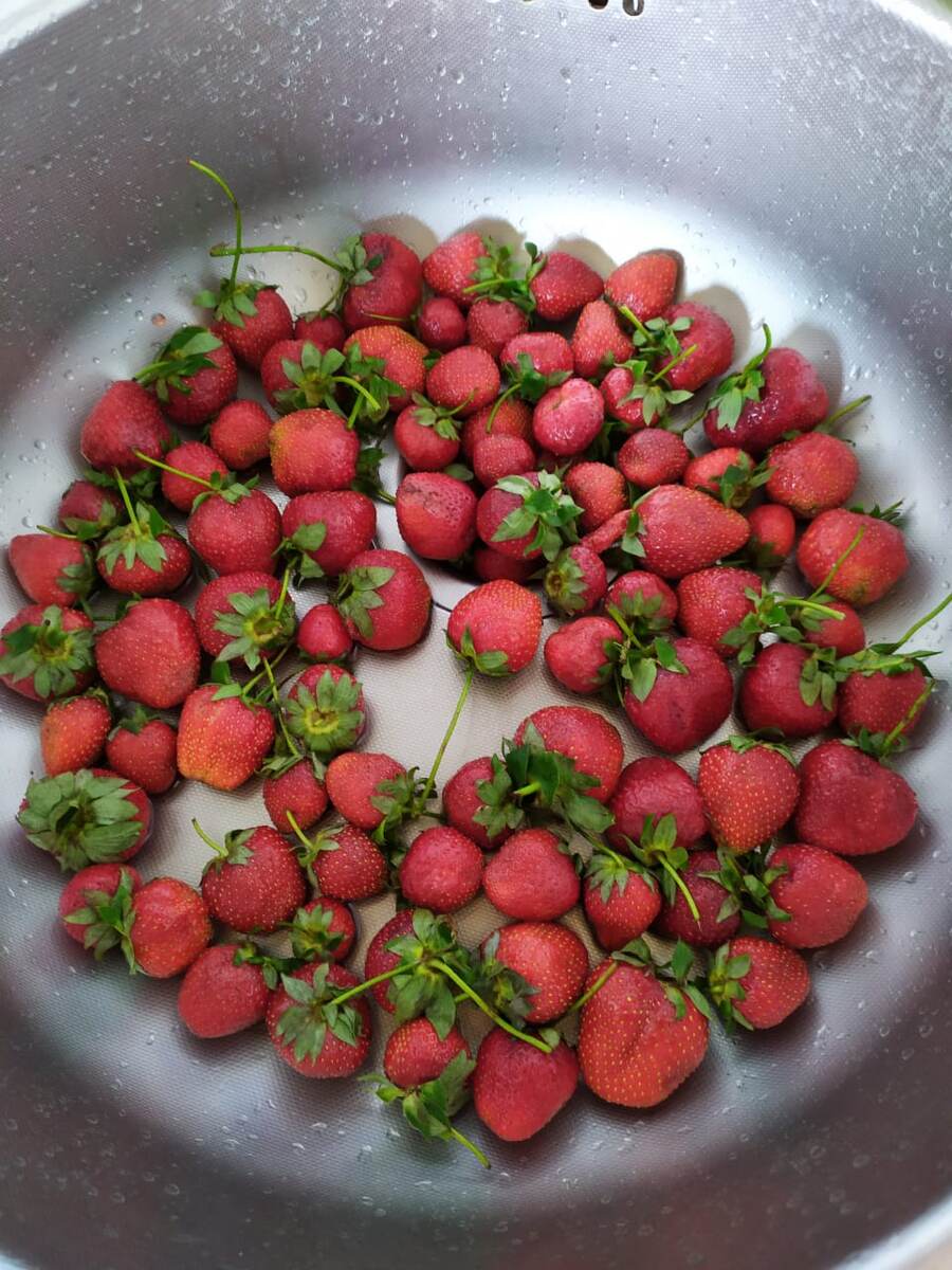 ФОТО АВТОРА: клубничка получилась как с картинки:)) У меня тут ровно 4 кг.