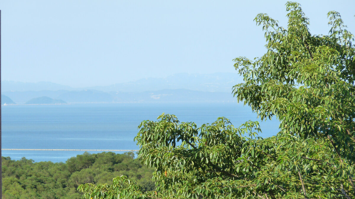 Вид из окна нашей квартиры. Ну как не искупаться?!