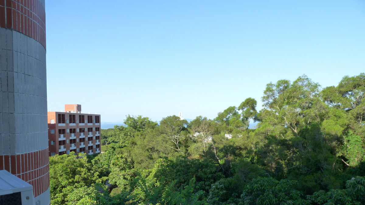 Этот же вид, но только без увеличения