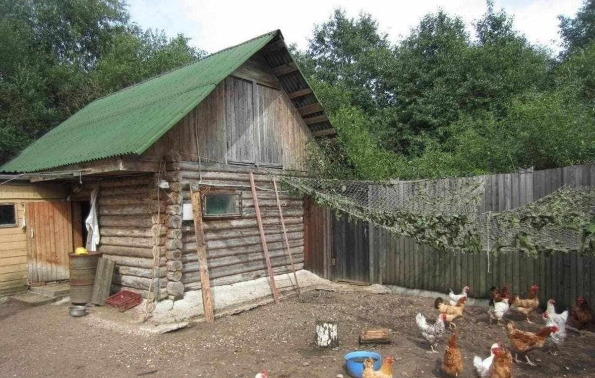 -2
