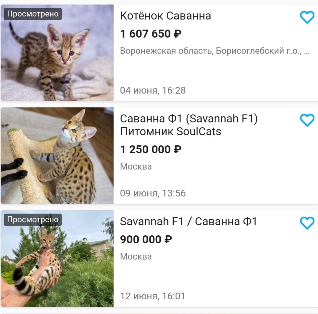 Скрин с Авито